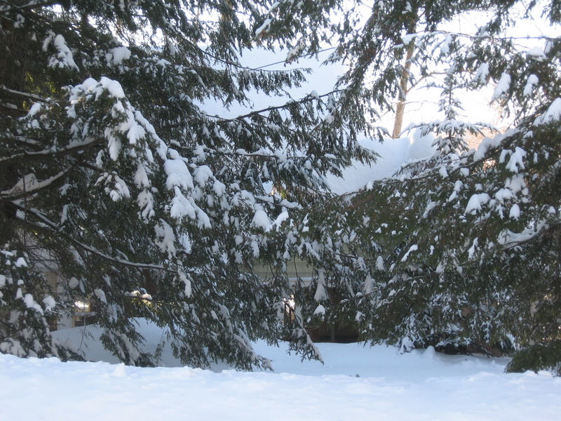 snow storm 2-14-07 075